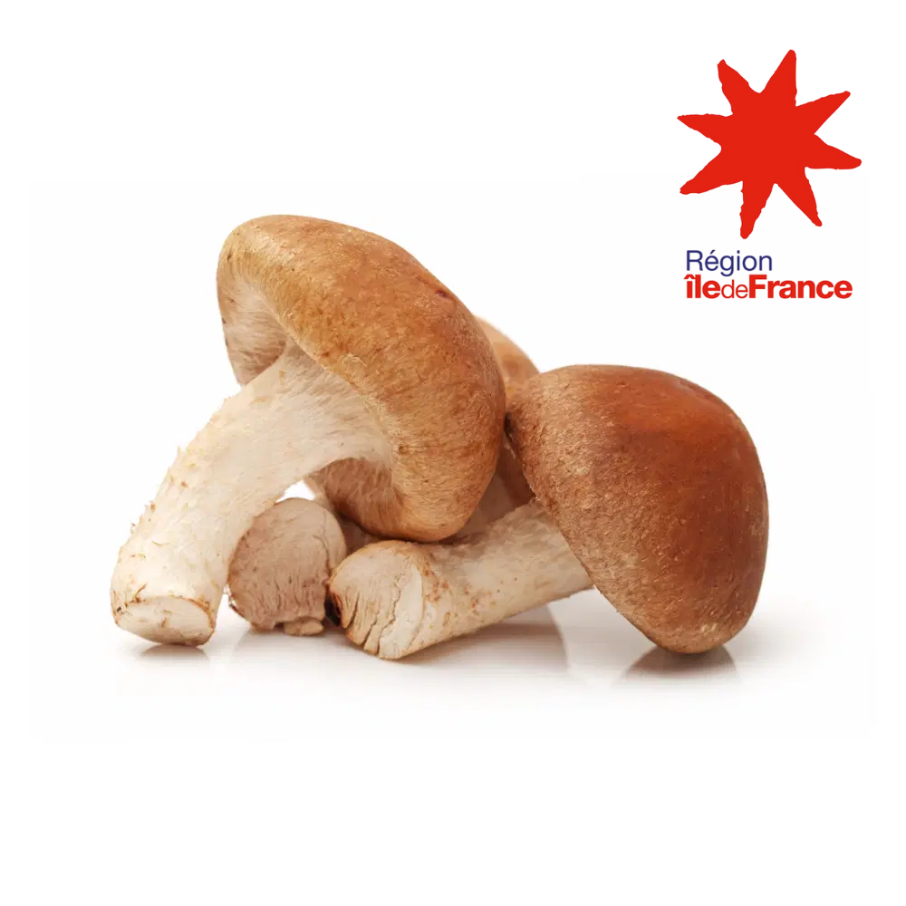 Champignons shiitaké bio origine île de France