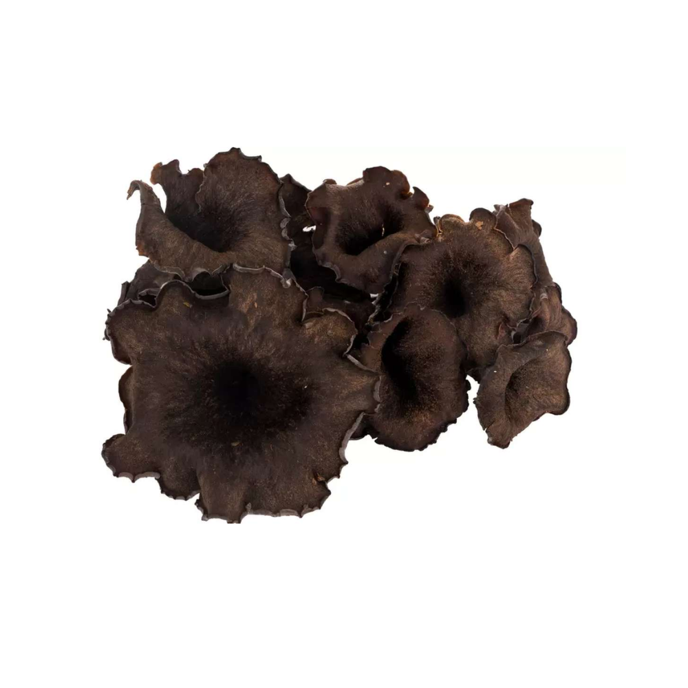 Champignons trompettes de la mort "sauvages" origine France