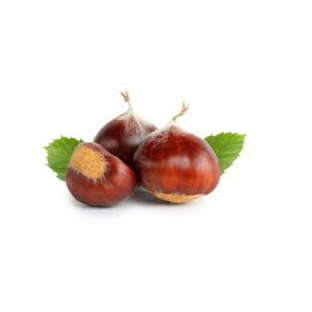 Chataignes bio origine France