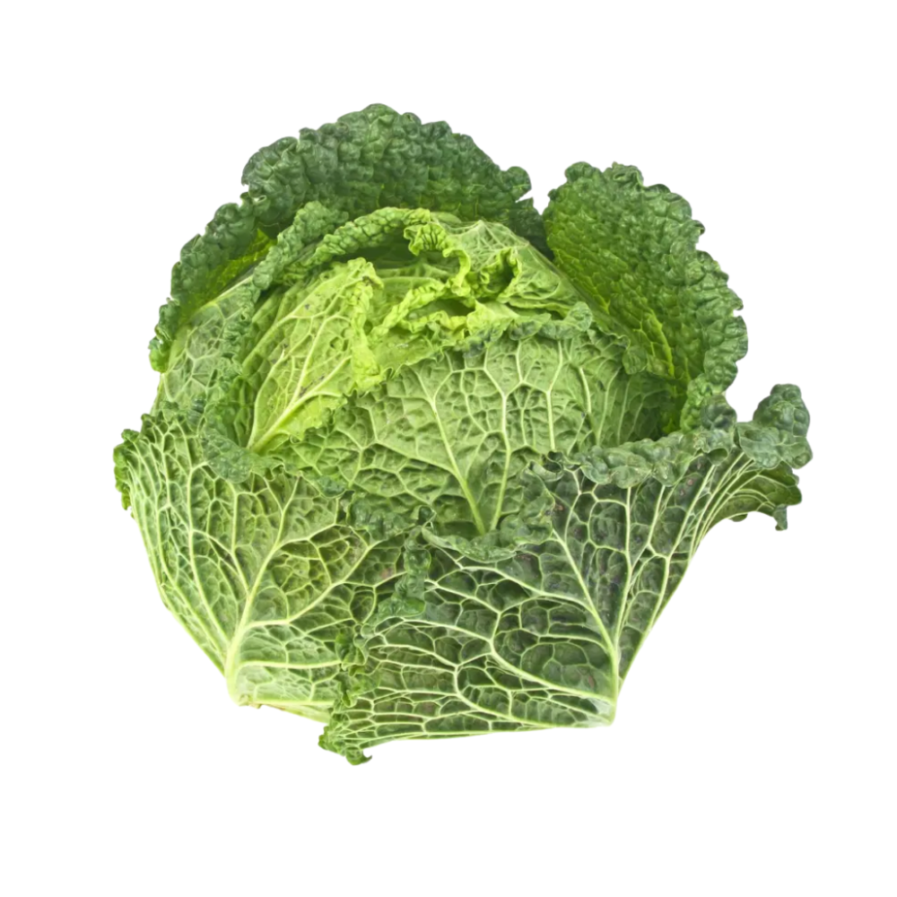 Chou vert frisé bio petit calibre origine France