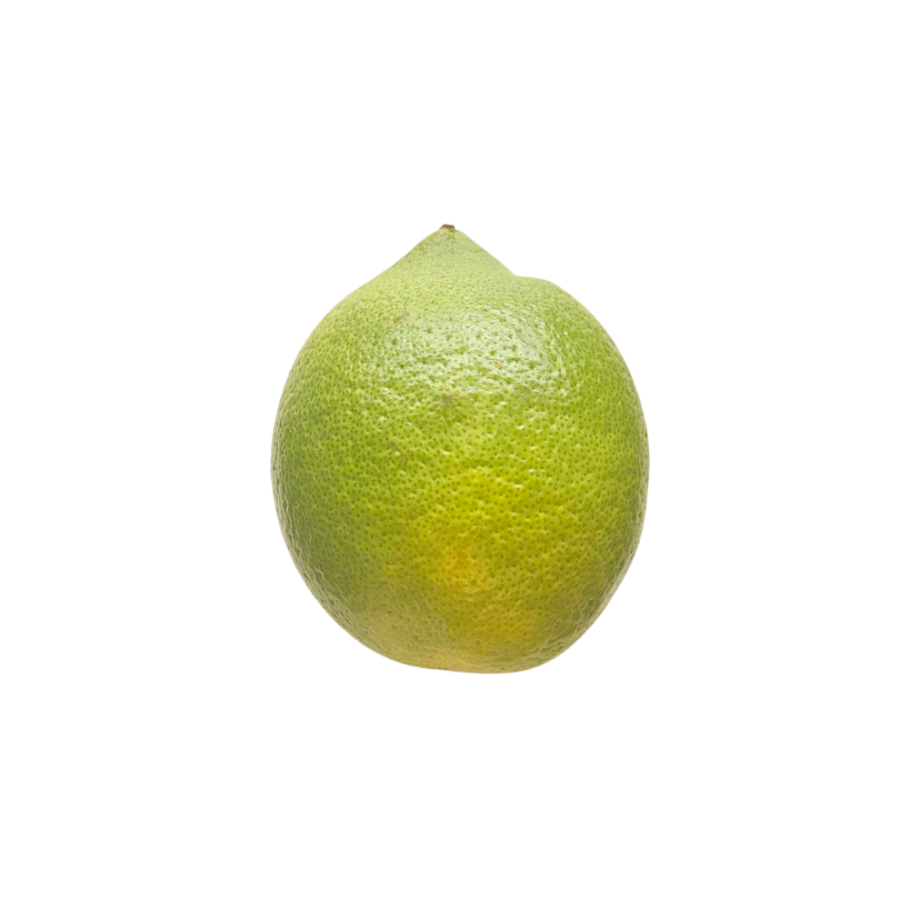Citron bio origine Italie
