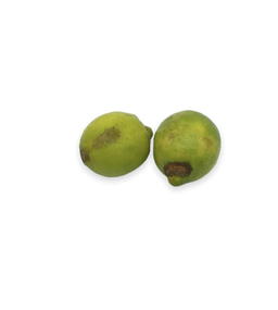 Citron Bio Origine Italie