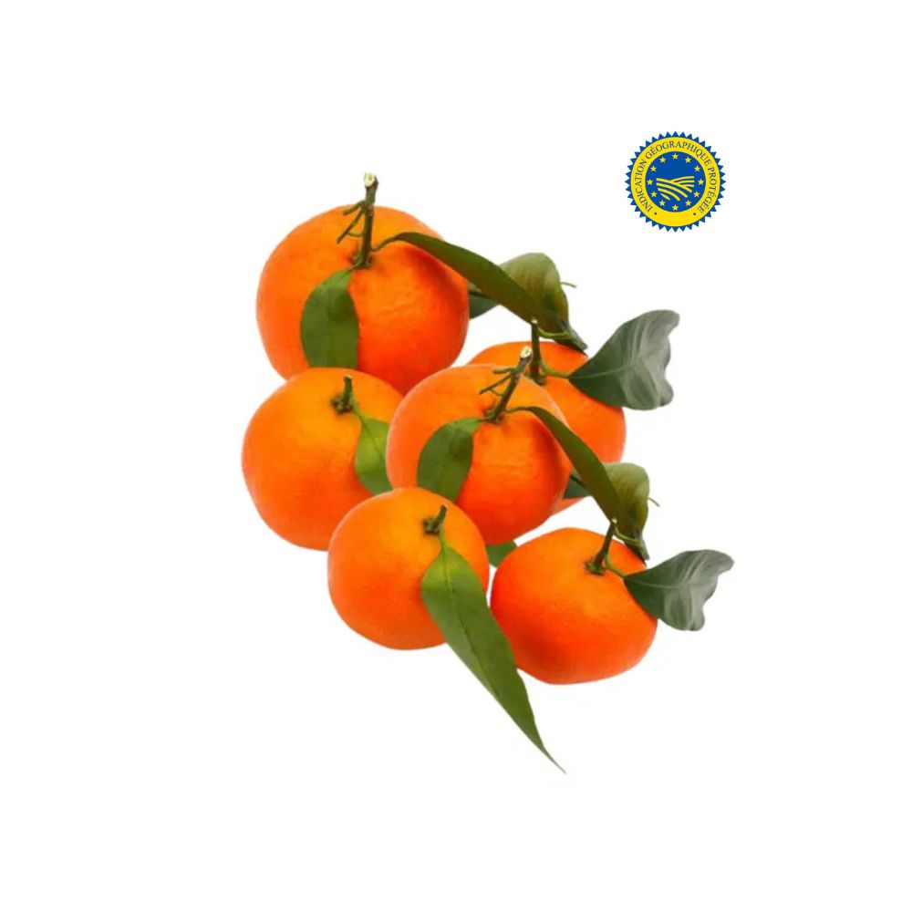 Clémentines bio origine Corse