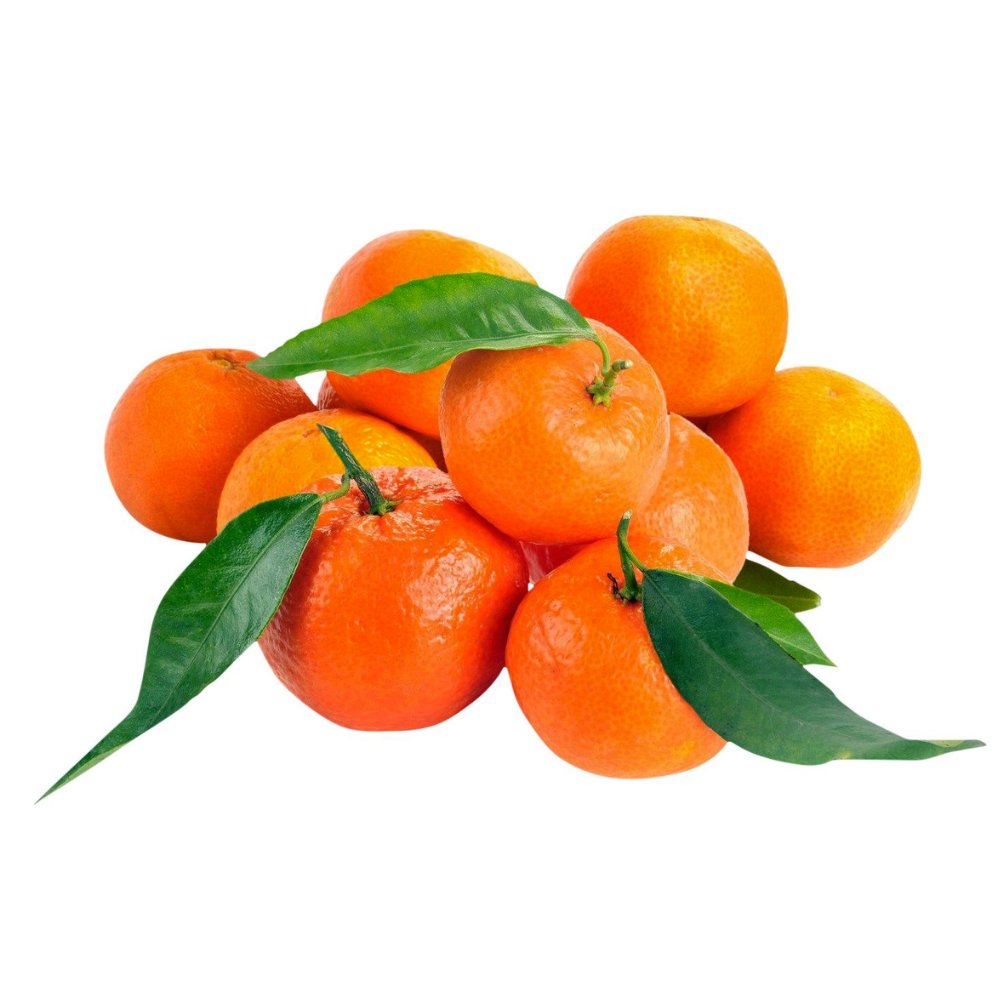 Clémentines bio origine Italie