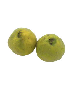 Coing Bio Origine France