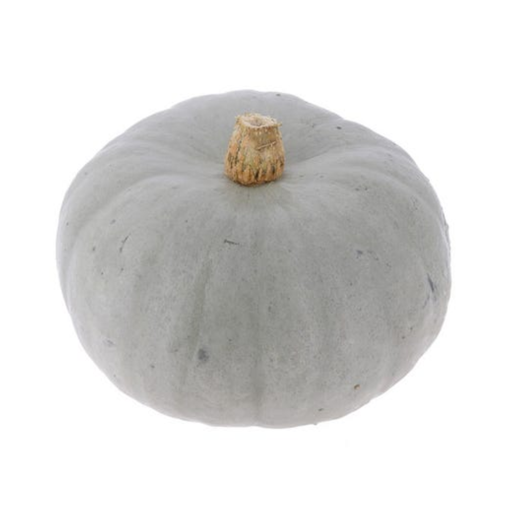 Courge bleue de hongrie bio origine France