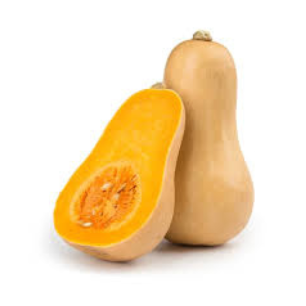 Courge butternut bio origine Espagne