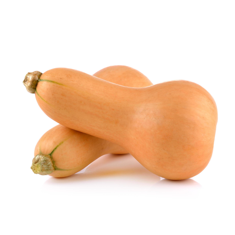 Lot de 2 courges butternuts bio origine France