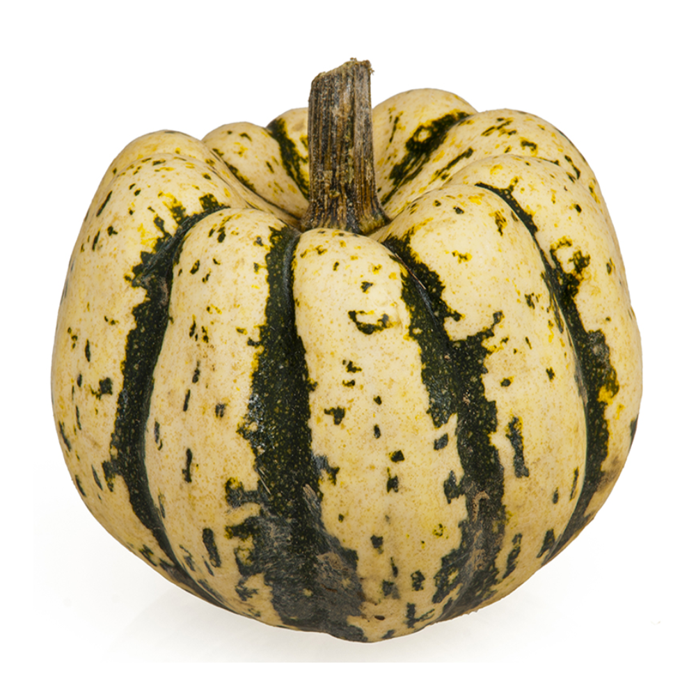 Courge patidoux bio origine France