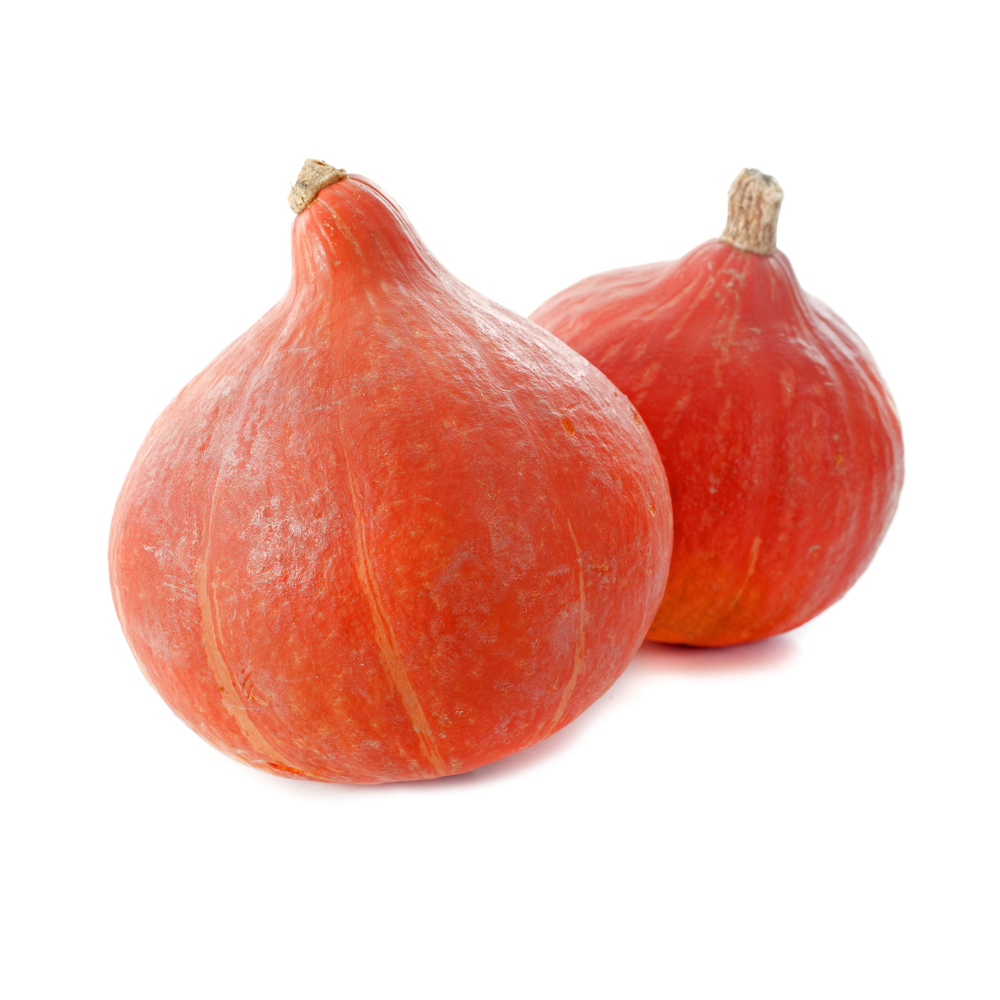 Lot de 2 courges potimarrons bio origine France