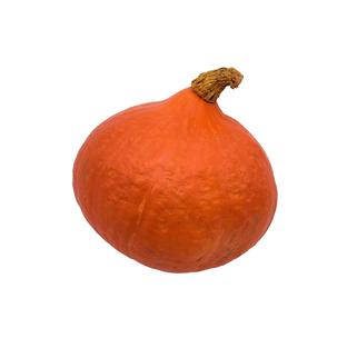 Courge potimarron bio origine Pays-Bas