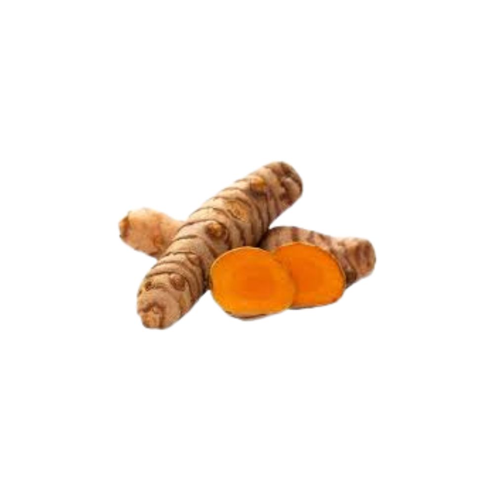 Curcuma bio origine Vietnam