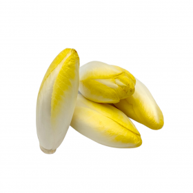 Endives bio origine Pays Bas