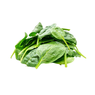 Feuille d'Epinards Bio Origine France