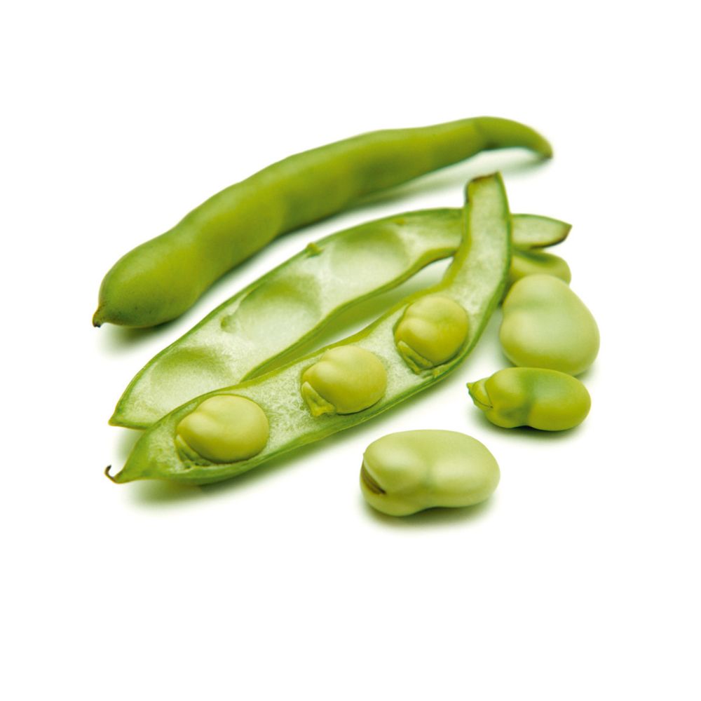 Fèves bio origine Espagne
