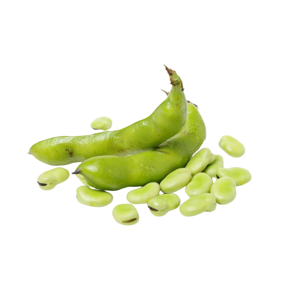 Fèves fraîches bio origine France