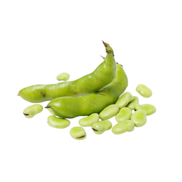 Fèves fraîches bio origine France