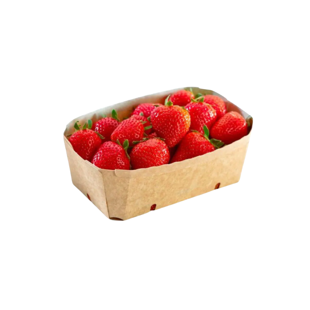 Fraises bio origine France - 250g