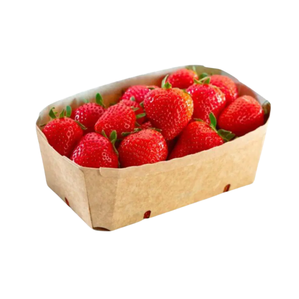Fraises bio origine France - 500g
