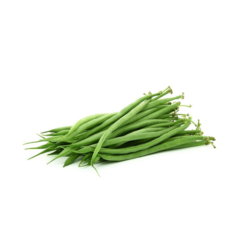 Haricots verts bio origine France