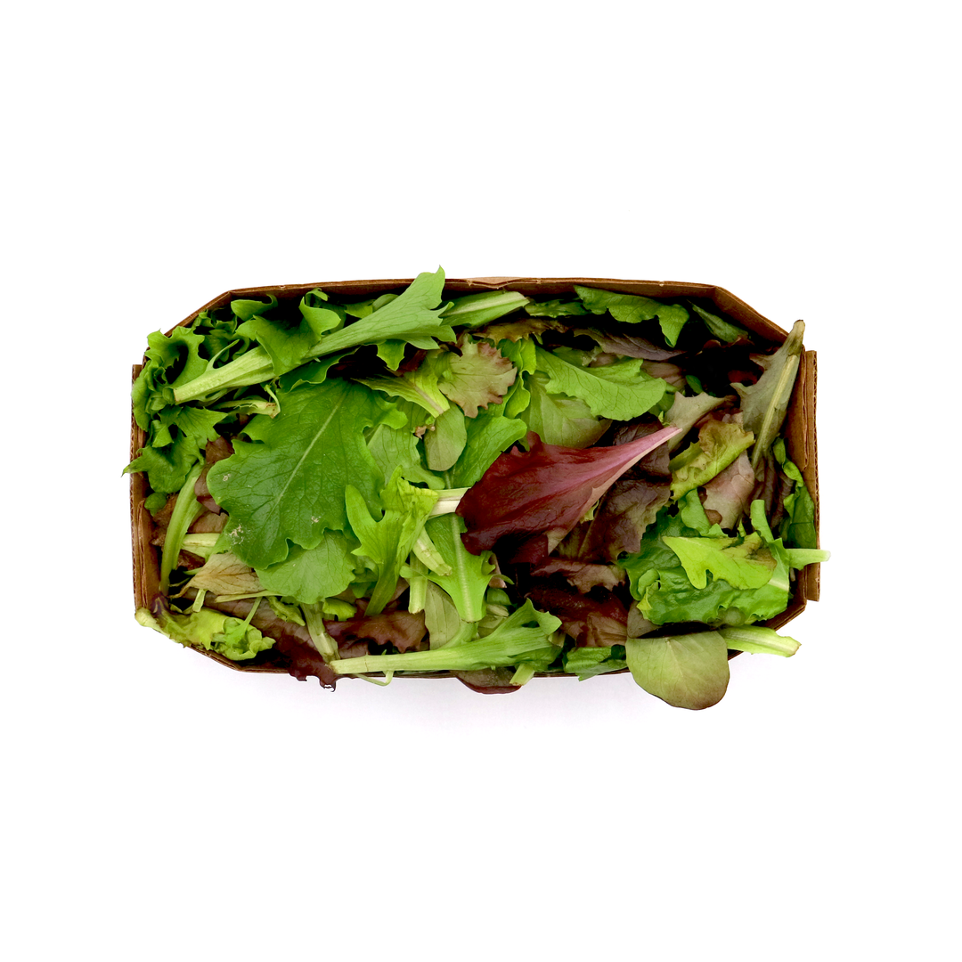 Barquette mélange de jeunes pousses bio origine France