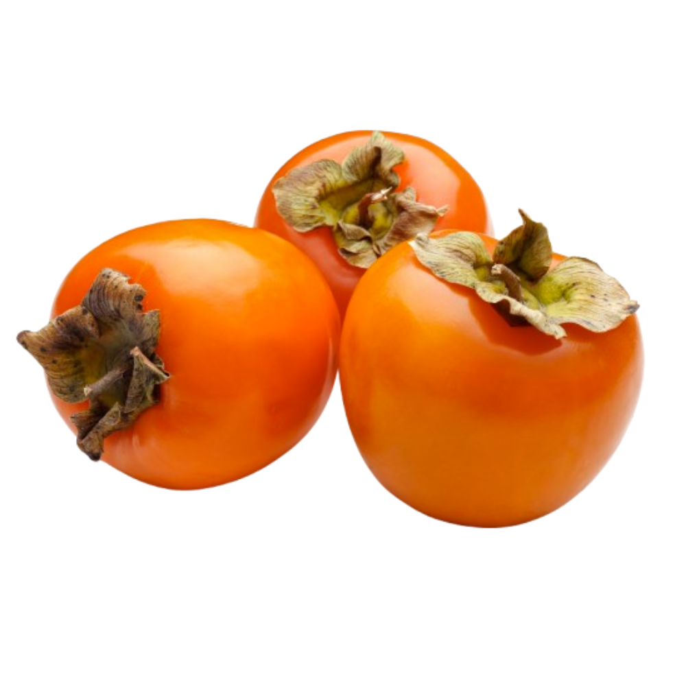 Kakis bio origine France