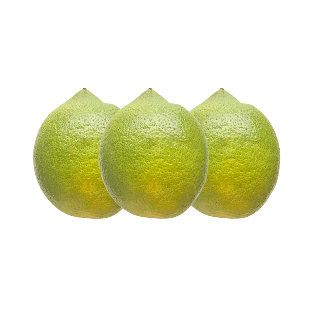 Lot de Citrons Bio Origine Italie x 3