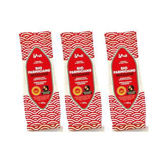 Lot de Fromages Rapés Parmesan Reggiano AOP 12 Mois Bio x 3