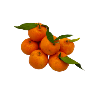 Mandarine avana bio origine Italie