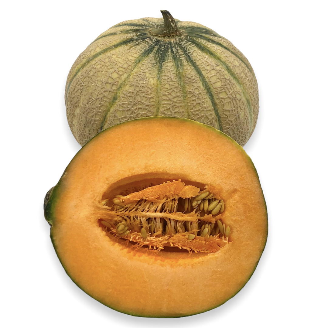 Melon Charentais Bio Origine France