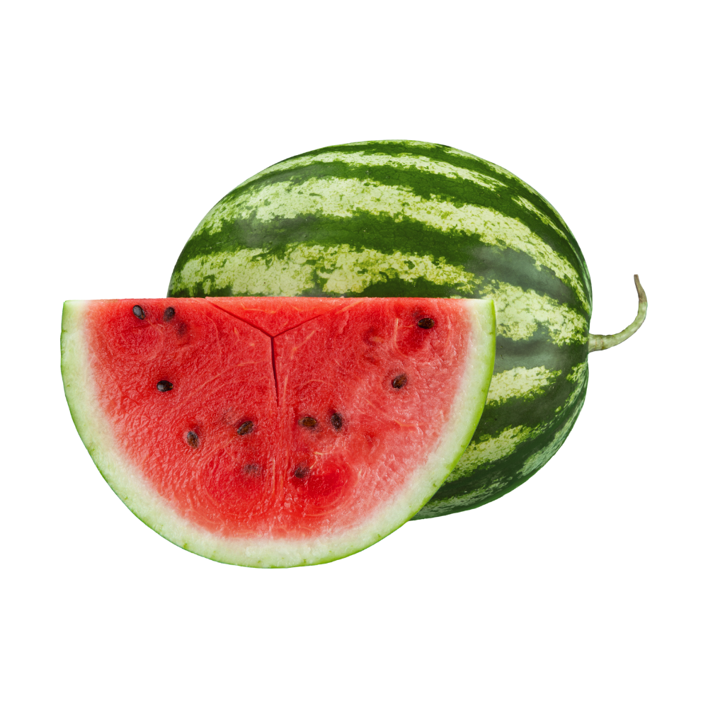 Pastèque bio origine France