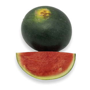 Mini Pastèque Bio Origine France