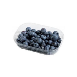 Myrtilles bio origine Espagne - 125g