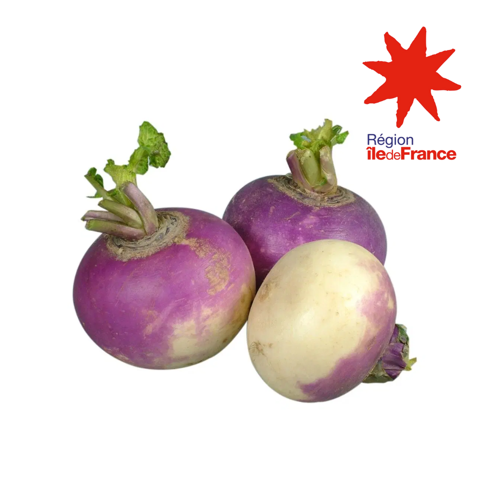 Navets bio origine Ile de France