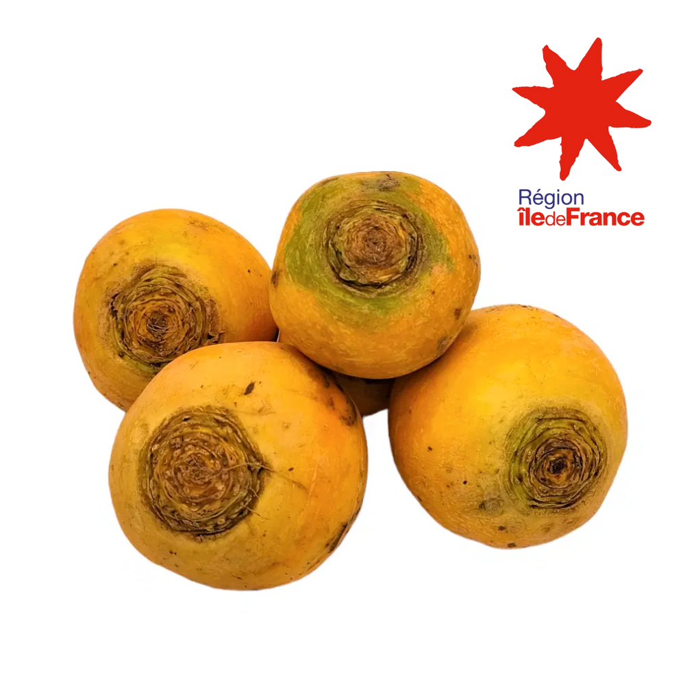 Navets boule d'or bio origine Ile de France