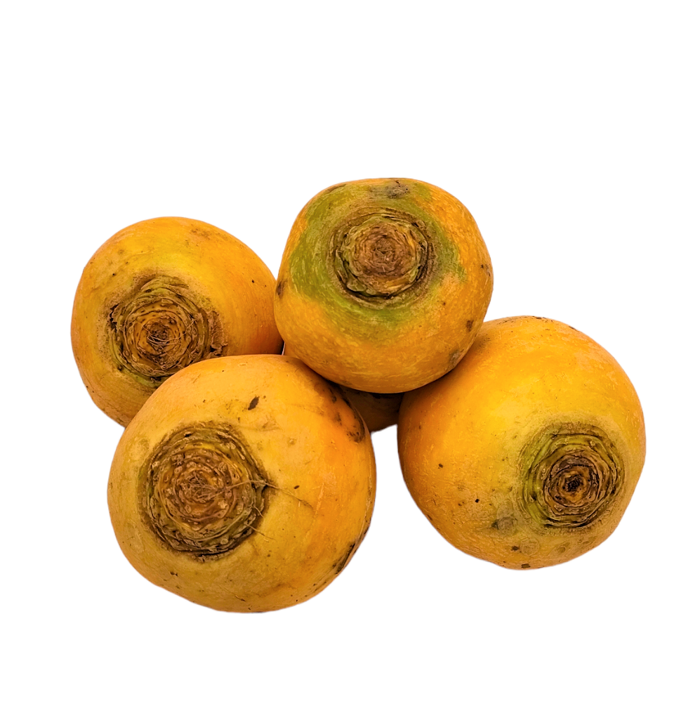 Navets boule d'or bio origine France