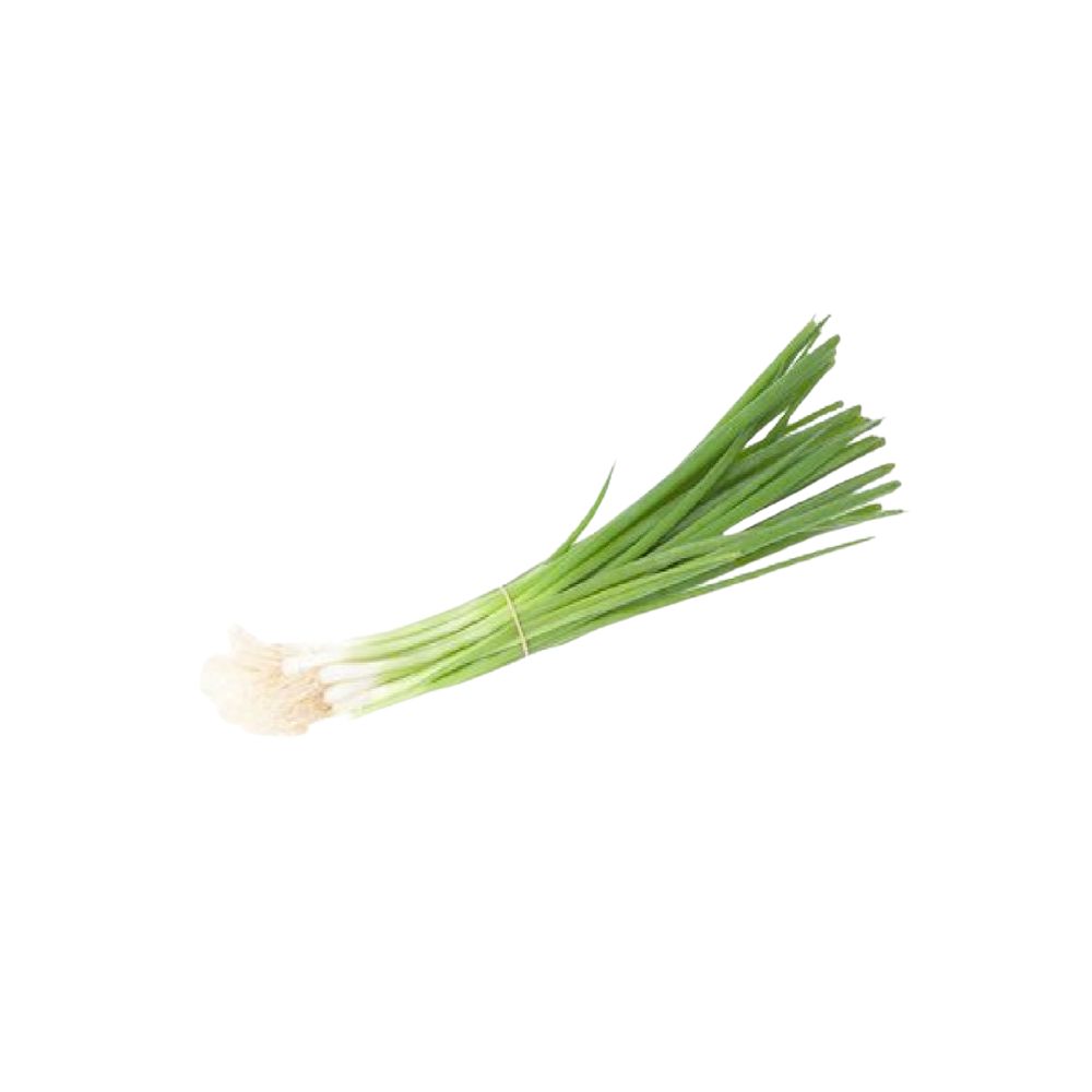 Oignons botte bio origine France