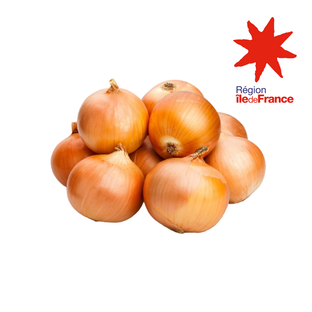 Oignons jaunes petits calibres bio origine île de France