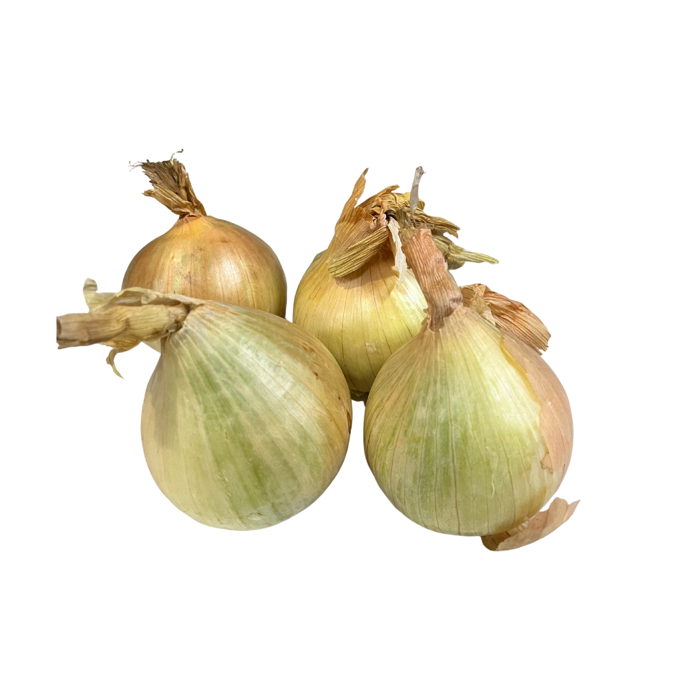 Oignons jaunes bio origine France - 500g