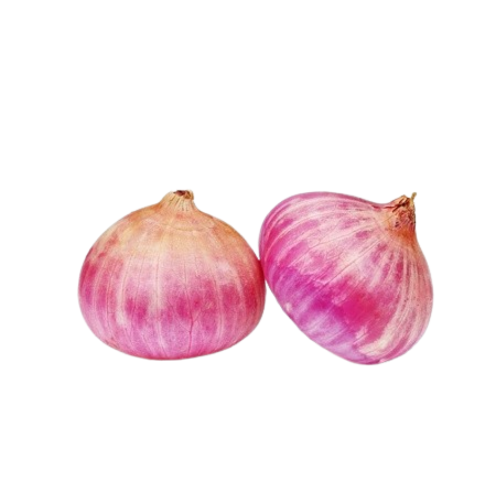 Oignons roses bio origine France