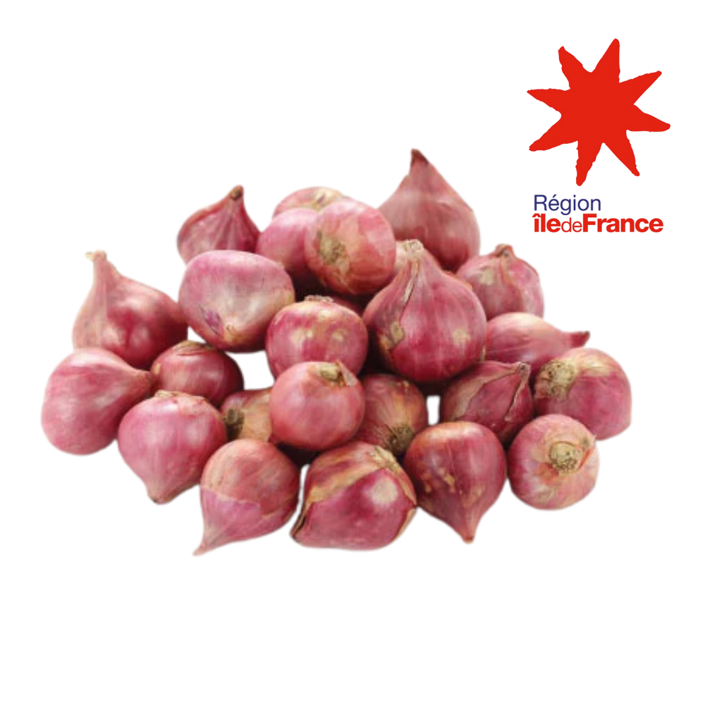 Oignons rouges petits calibres bio origine île de France