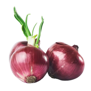 Oignons rouges demi-sec bio origine France