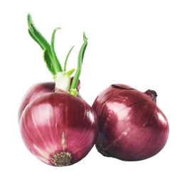Oignons rouges demi-sec bio origine France