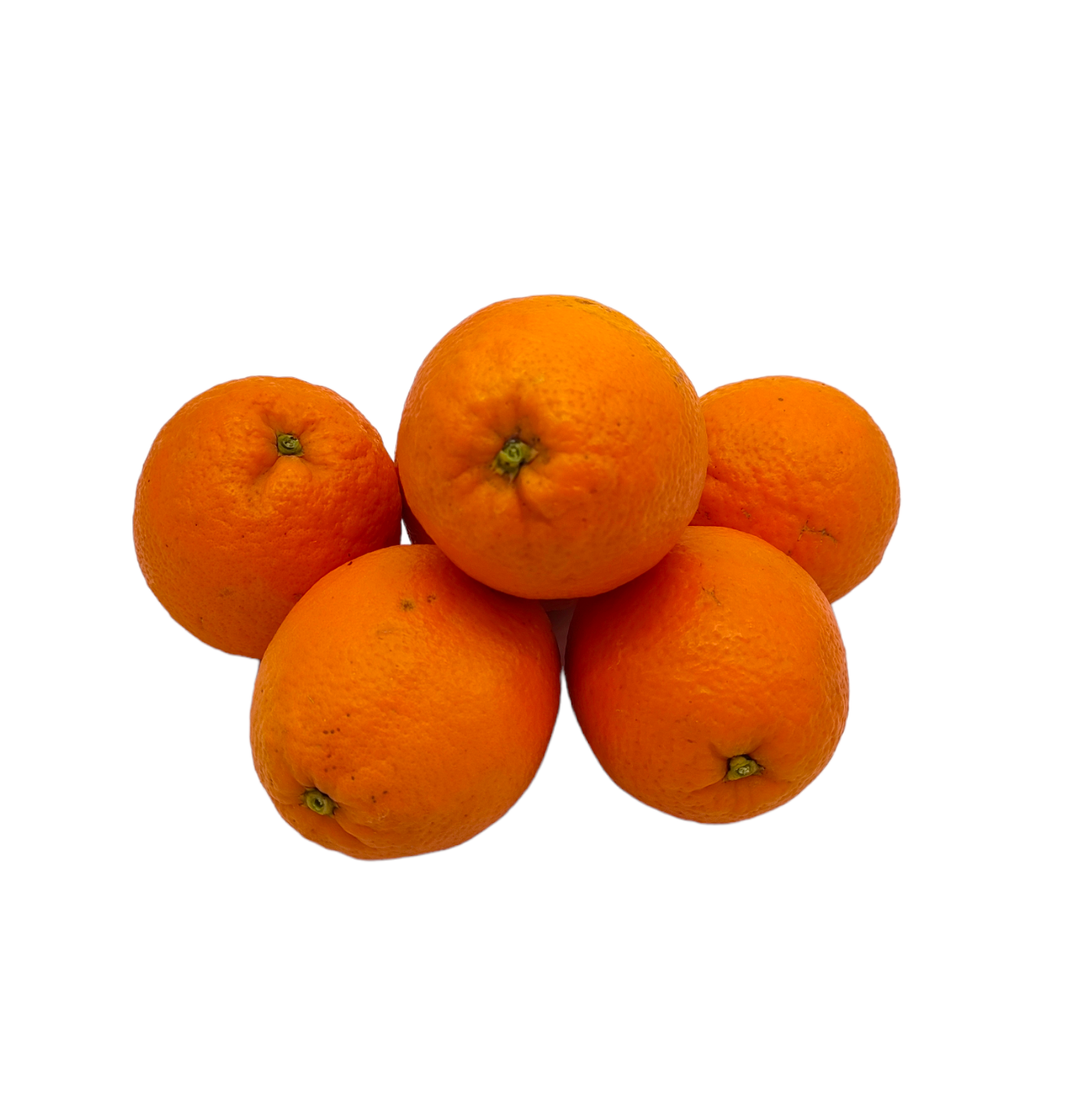Oranges bio origine Espagne
