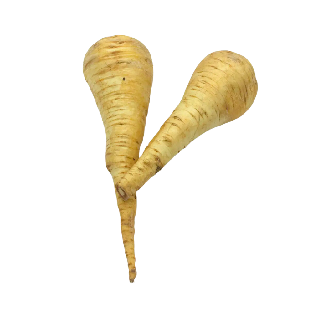 Panais bio origine France