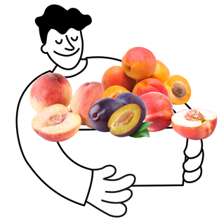 Panier Fruits d'Été de Saison Bio