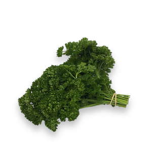 Persil Frisé Bio Origine France