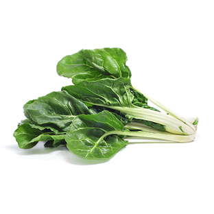 Pieds de blette bio origine France