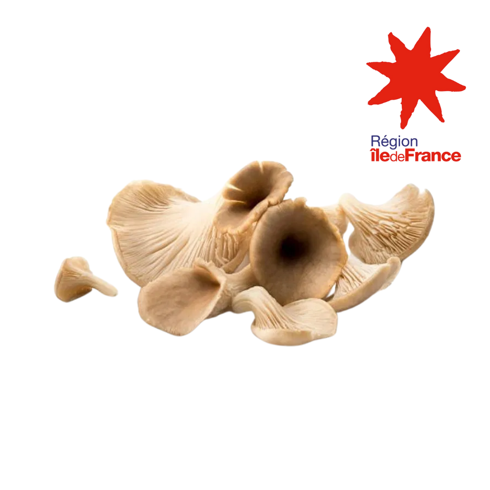 Pleurotes bio origine île de France