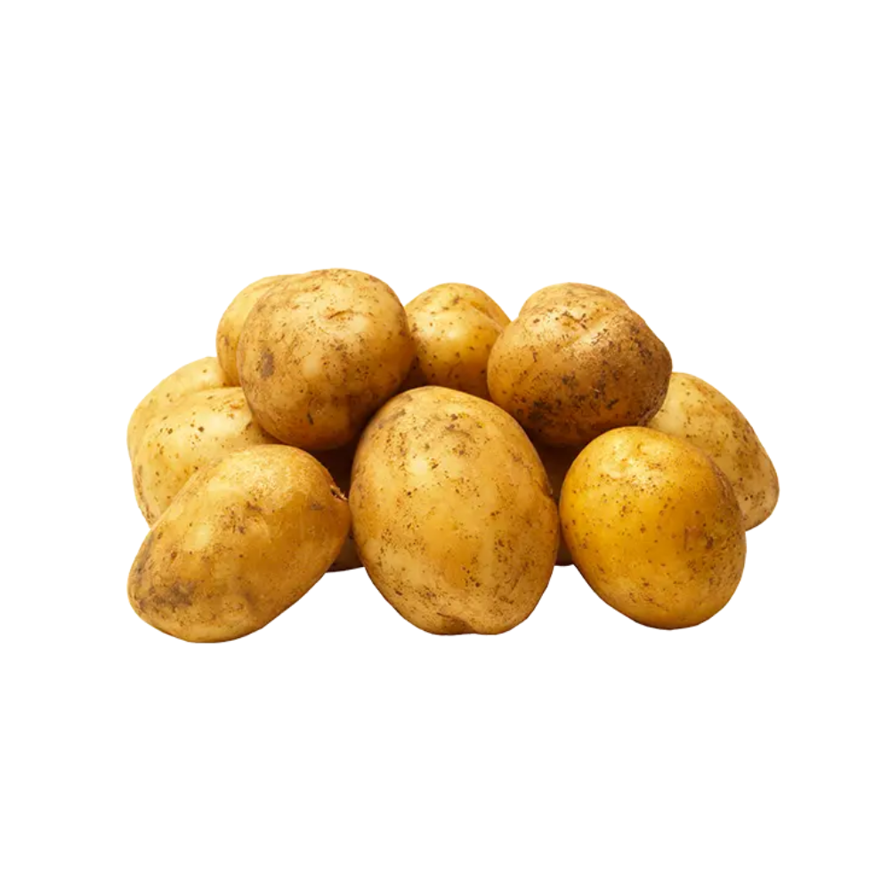 Pomme de terre primeur bio origine France
